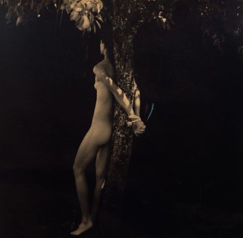 ®Masao Yamamoto. 23