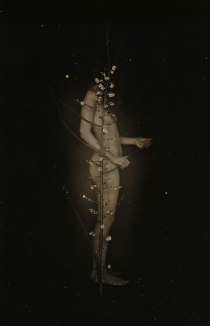 ®Masao Yamamoto. from a box of ku 2