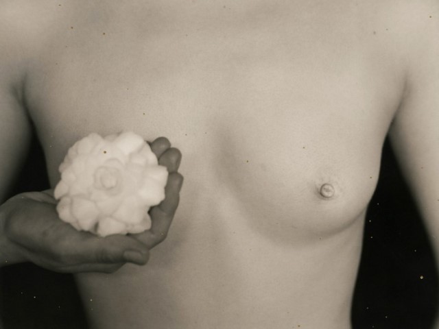 ®Masao Yamamoto. Nakazora 16