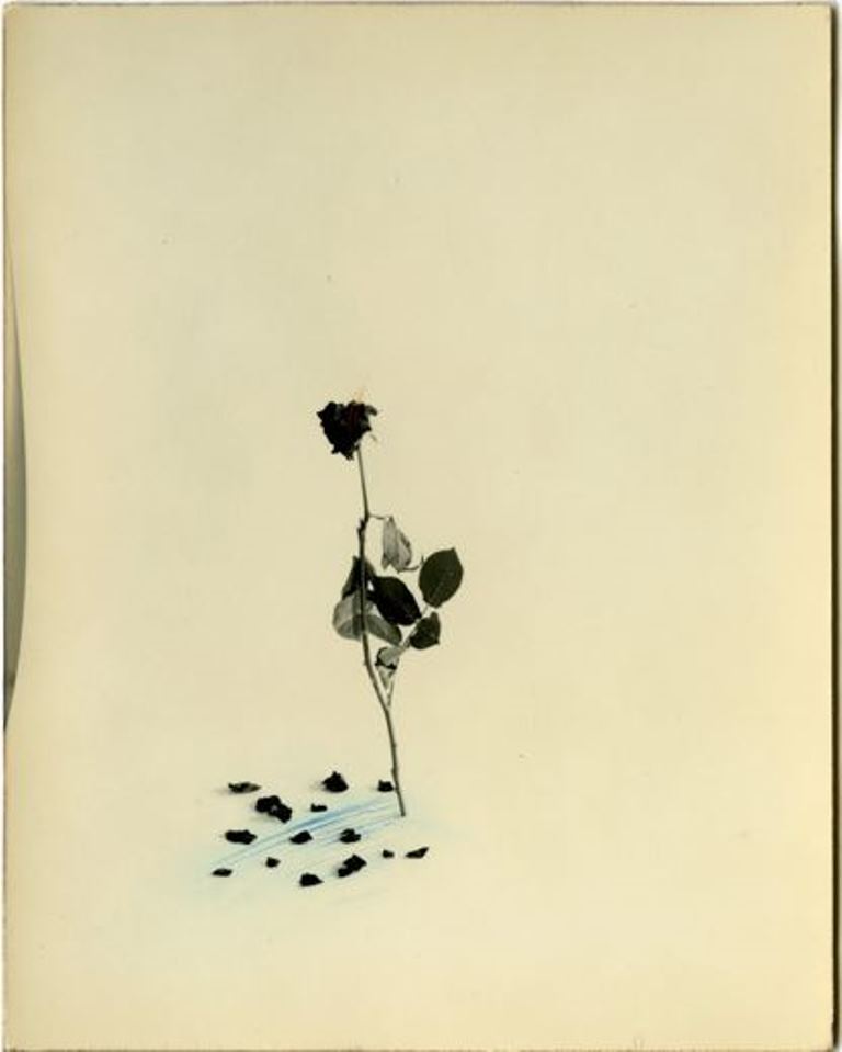Masao Yamamoto
