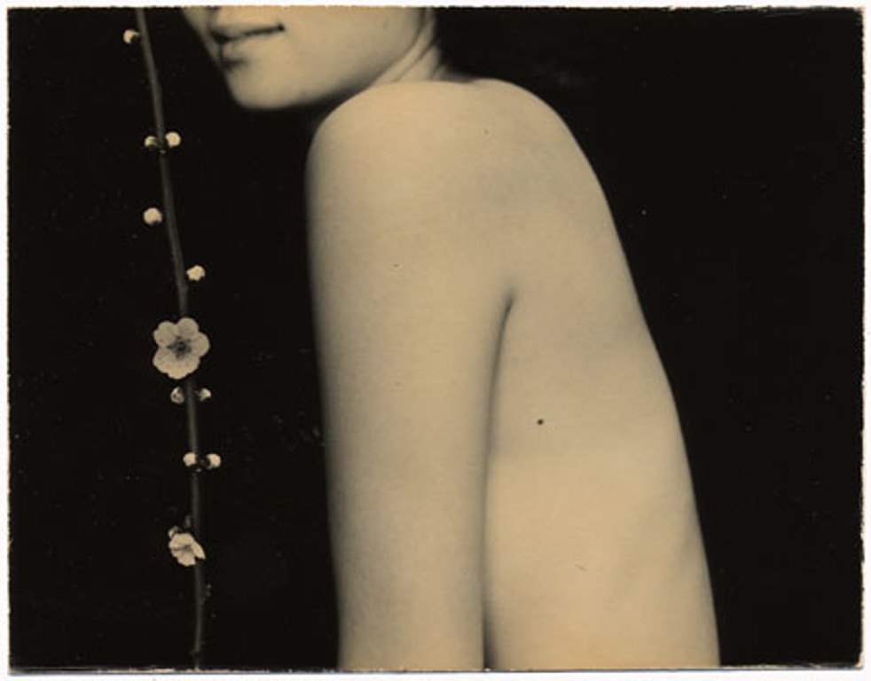 Masao Yamamoto
