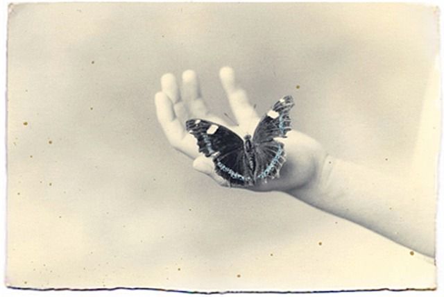 Masao Yamamoto