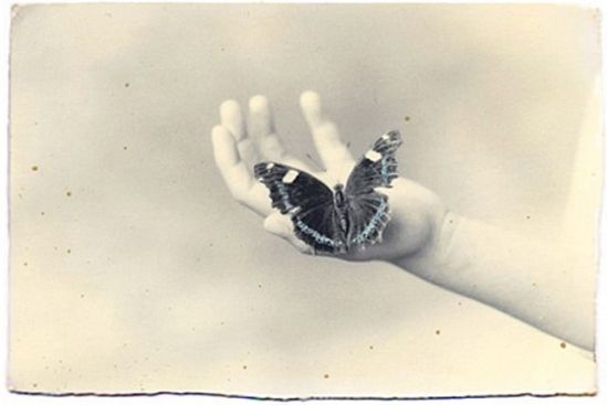 Masao Yamamoto