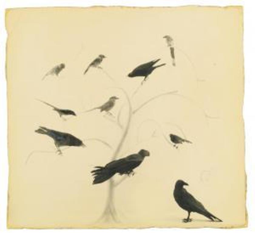 Masao Yamamoto