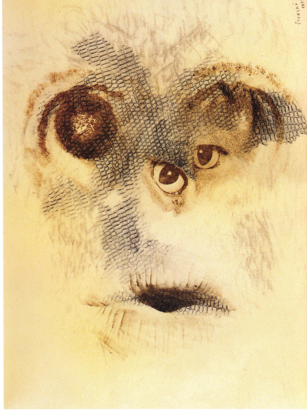 Jindrich Styrsky - Untitled, 1936. From the series Omnipresent Eye (Vsudypitomme oko). Pencil frottage on paper