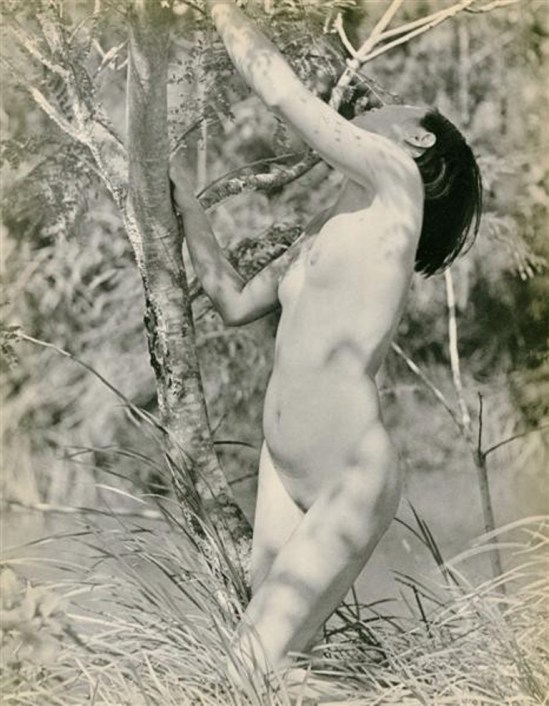 Chin-San Long. Forêt au printemps 1936 Via liveauctioneers