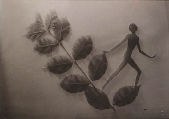 František Drtikol- Untitled (cut-out nude with leaves) c.1930-1935. Via kochgallery