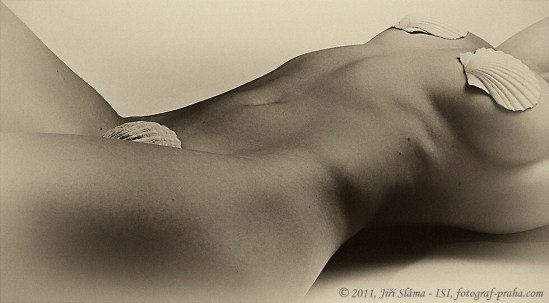 Jiří Sláma. Nu au coquillage via Photoserver