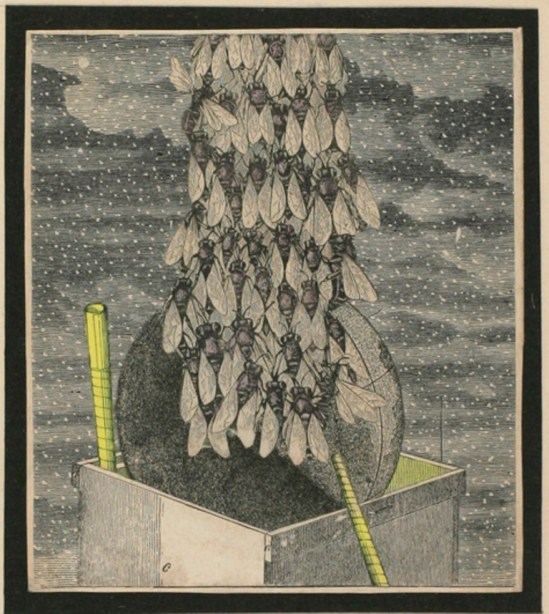 Joseph Cornell. Collage 1933 Via ubugallery