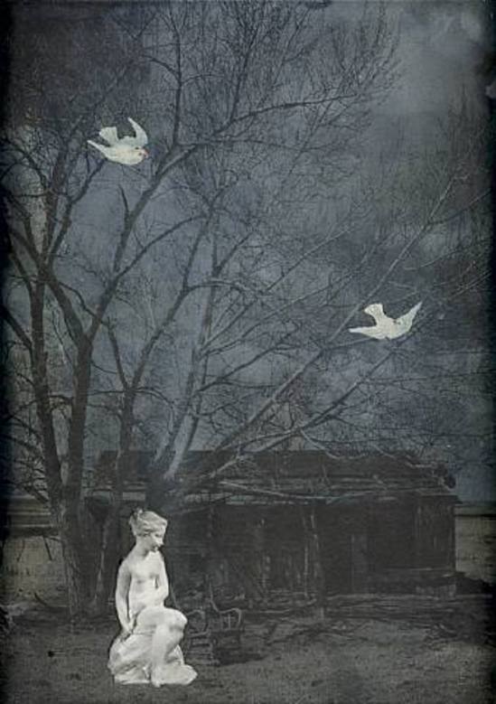 Joseph Cornell. Home, Poor Heart 1960 Via artnet