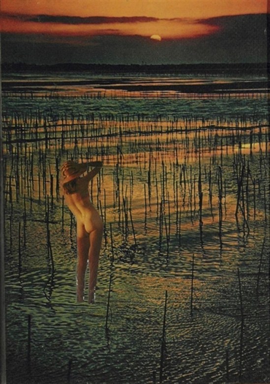 Joseph Cornell. Untitled (Nude in Marsh) 1960 Via mutualart