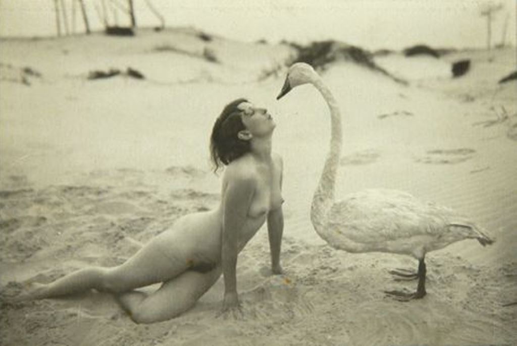 Leda and the Swan by Marcel Meys, 1920. Via pictify