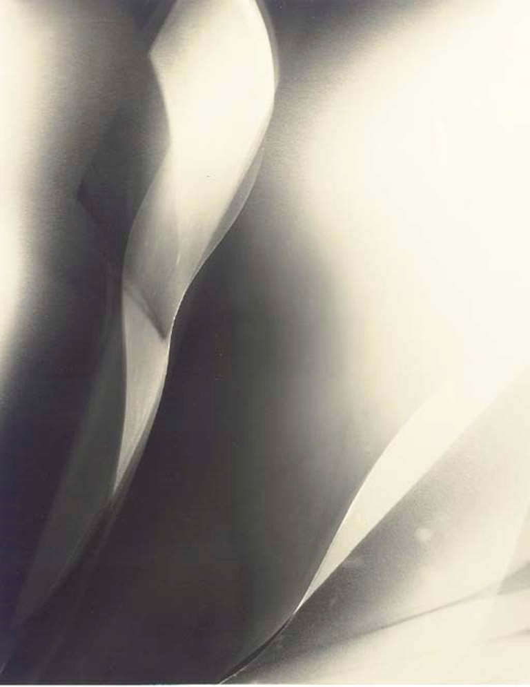 Lotte Jacobi. Photogenic 1946-1955 Via christies