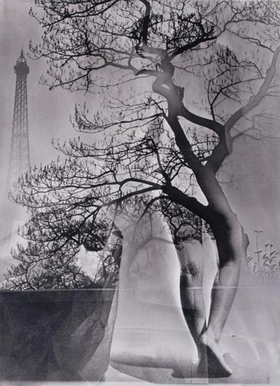 Maurice Tabard, Walking Tree, 1929. Via theredlist