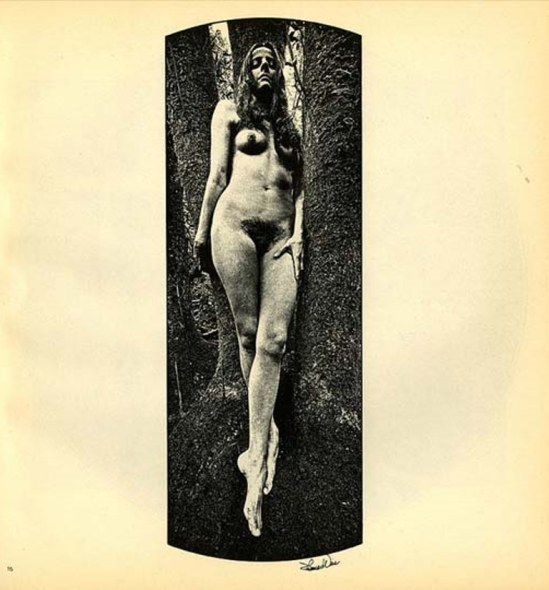 Thomas Weir. For the Virgin Forest  magazine années 1960 Via honeybadgerco