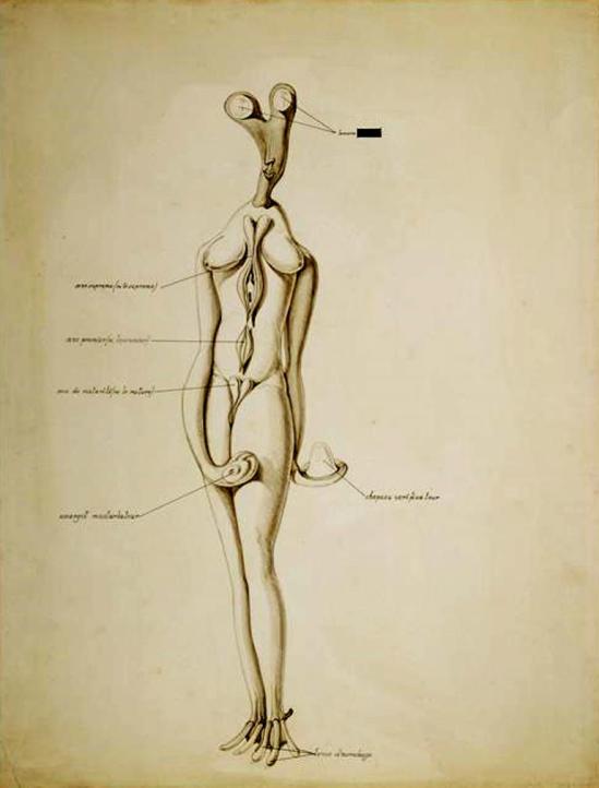 Victor Brauner. Anatomie du désir 1935 Via RMN