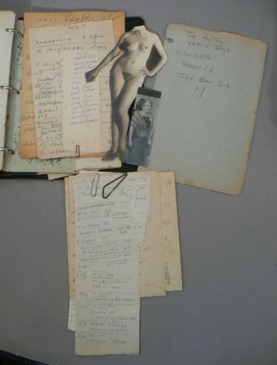 Alfred Cheney Johnston Via historicalzg