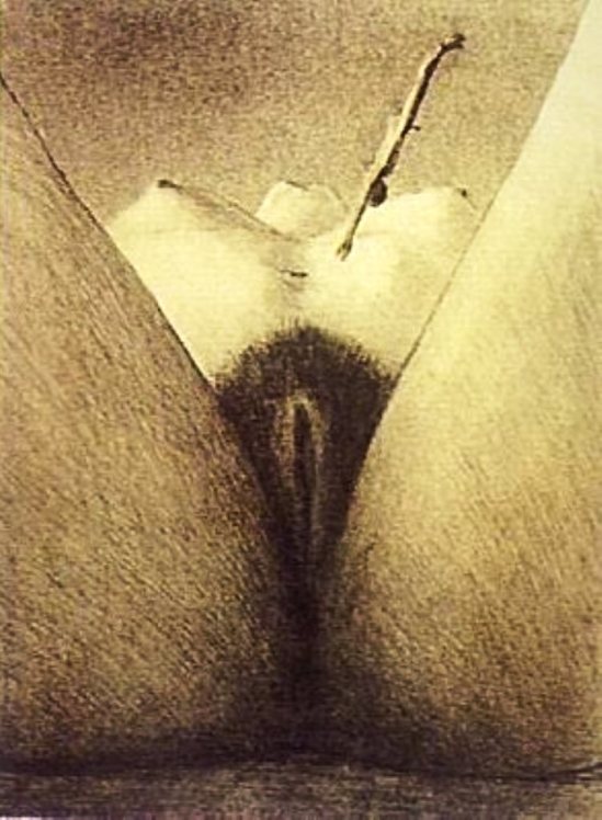 Alfred Kubin. Le saut de la mort 1902