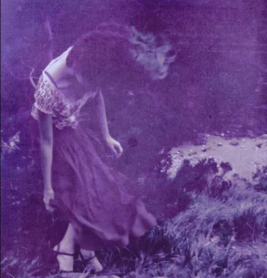 Anita Libera Corsi. Il richiamo del vento. Via flick