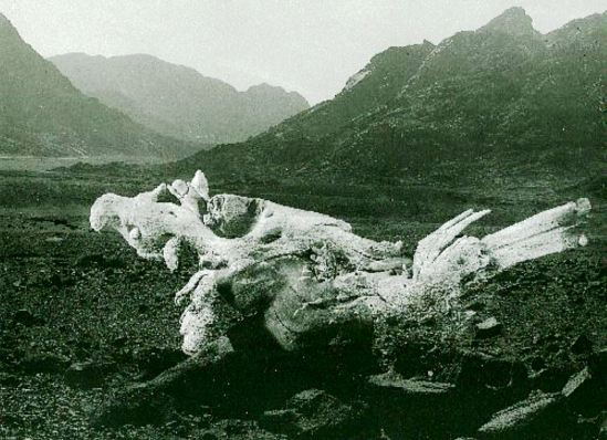 Jan Splichal1. Krajiny imaginativni 1993-1994 Via splechal.eu