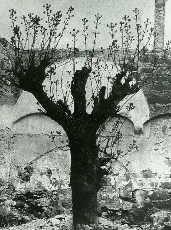 Jan Splichal1. Stity 1962-1965 Via splichal.eu