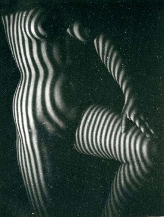 Leo Dohmen. L'ébéniste 1955 Via binocheetgiquello