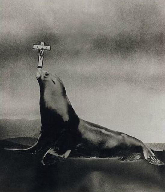 Leo Dohmen. Le ludion 1956