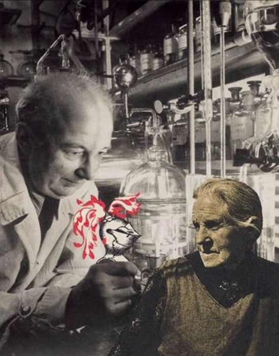 Leo Dohmen. L'expérience 1955