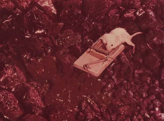 Leo Dohmen. Marcinelle 1956