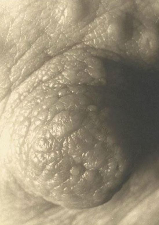 Leo Dohmen. Ready made 1956