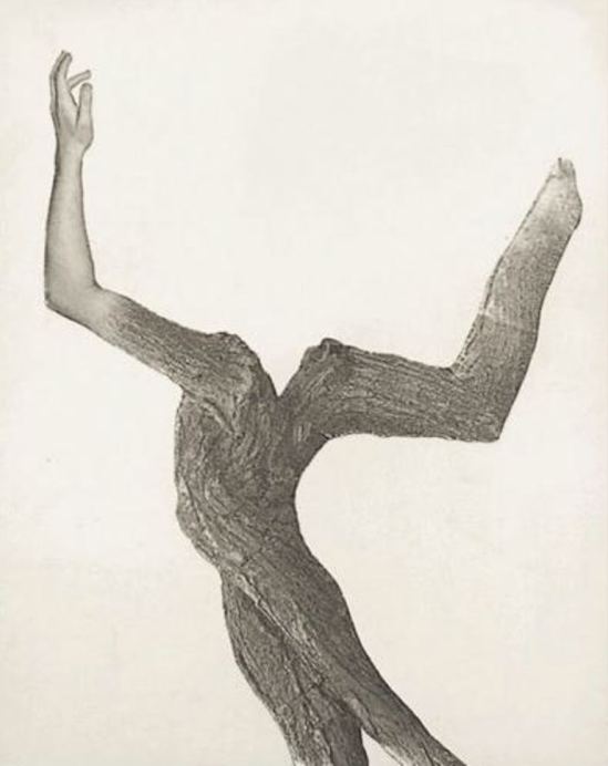 Leo Dohmen. Spring 1956