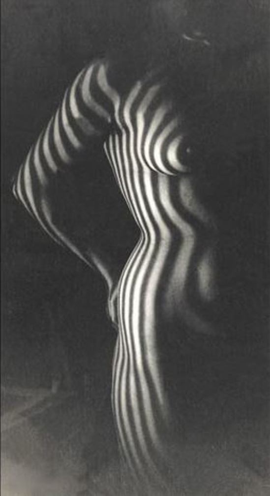 Leo Dohmen. The cabinet maker 1955