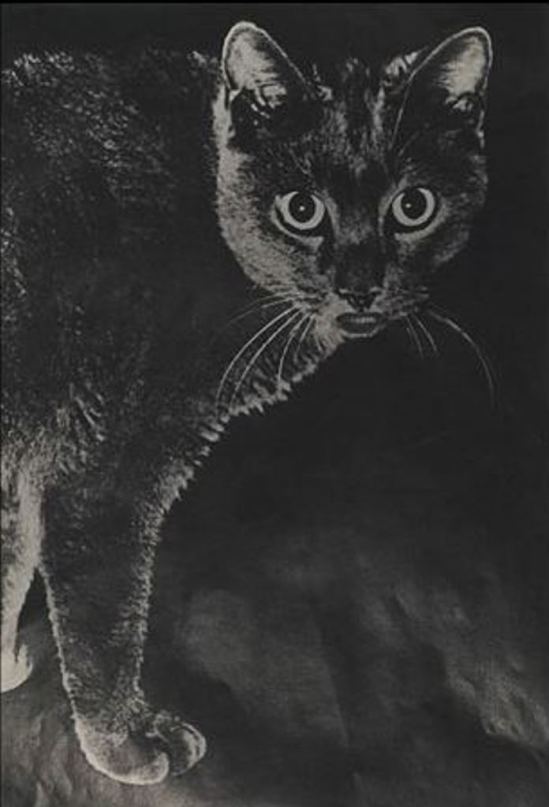 Leo Dohmen. The crossed bridge 1955