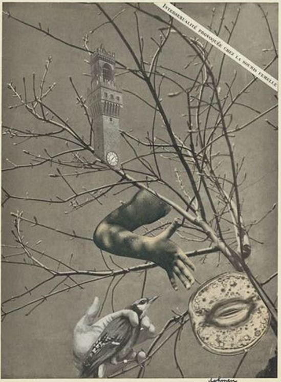 Leo Dohmen. The symbolist 1953