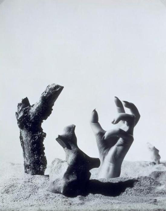 Lucien Lorelle. Illustration pour Les chants de Maldoror de Lautréamont 1947