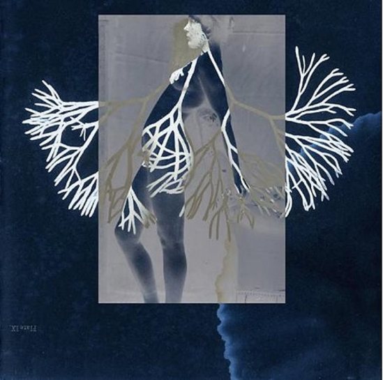 Paul Cava 2005-2009 Via paulcava.com