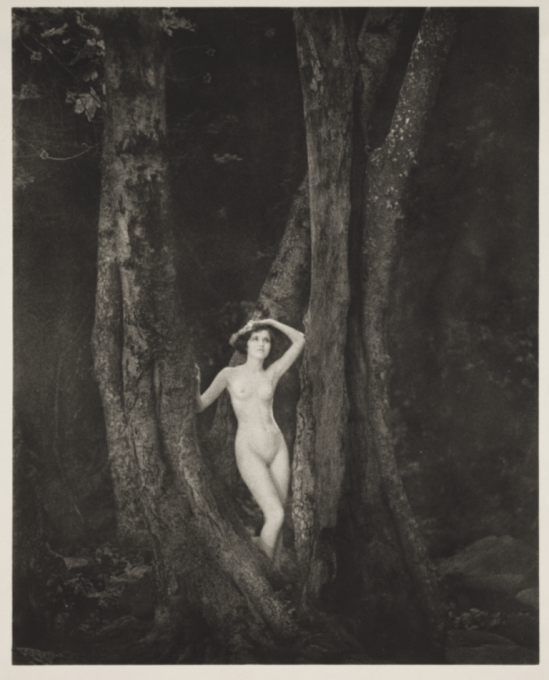 Kales, Arthur F. Nude in wood 1925 Via nationalmediamuseum