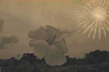 Masao Yamamoto via