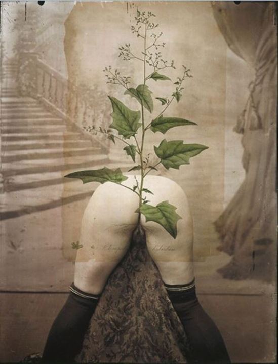 Paul Cava 2001 Via paulcavaart