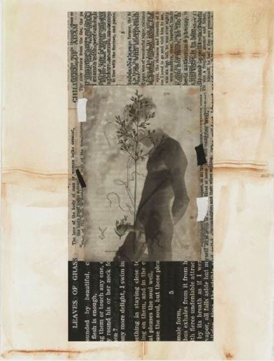 Paul Cava10 2005-2009 Via paulvavaart