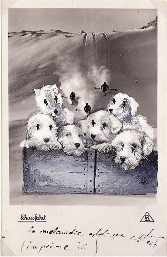 Salvador Dali. Carte postale envoyée à André Breton en 1932. La mélancolie extatique des chiens Via andrebtreton.fr