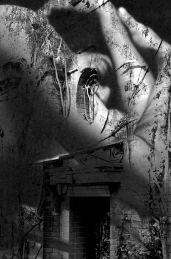 Colette Standish. From love letter to Paris Via site