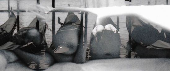 Colette Standish Via site