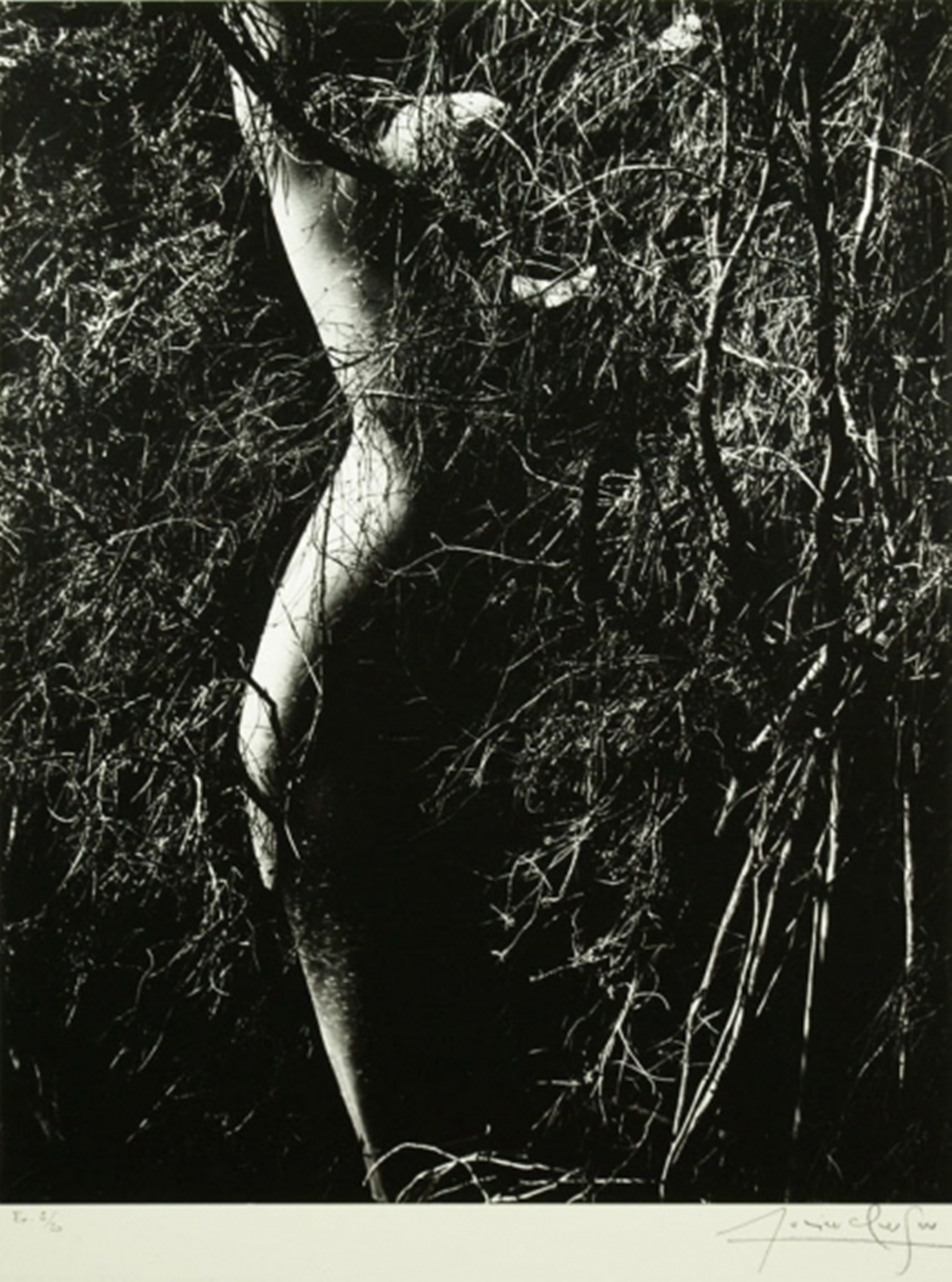 Lucien Clergue. Nu de la forêt 1970 Via baruchfoundation