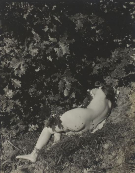 Edward Steichen. Untitled (Kate Steichen) 1935 Via artic.edu