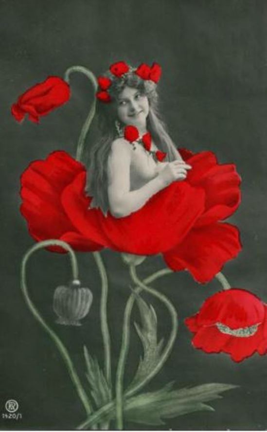 Photographe anonyme. Eclosion 1920 Via drouot