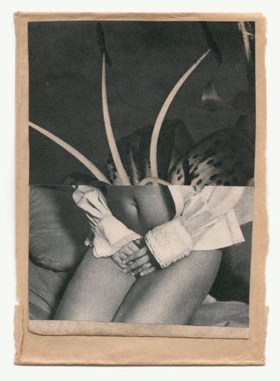 ®Katrien De Blauwer. Odeur