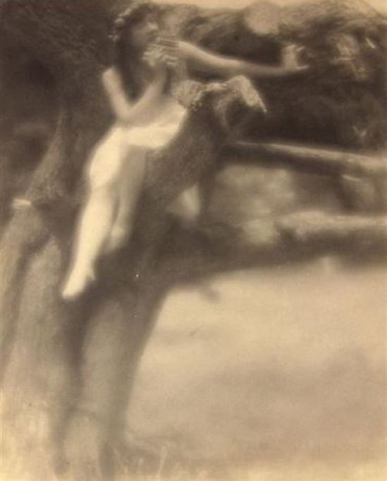 Arthur F. Kales. Nymph in tree 1900-1909. Via artnet