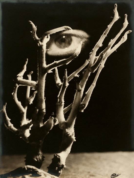 Artiste Inconnu. Surreal eye amid branches 1930s. Via thesip.org