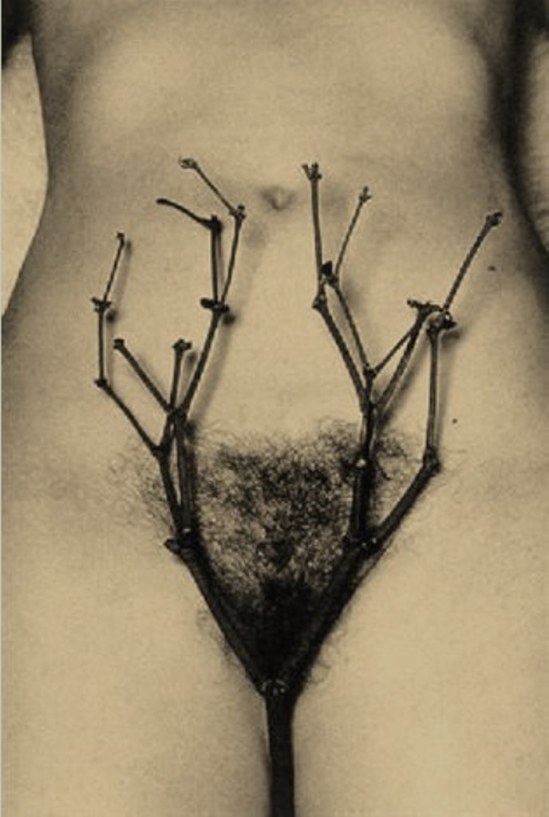 Emiel van Moerkerken. Yoni 1989. Via arnet